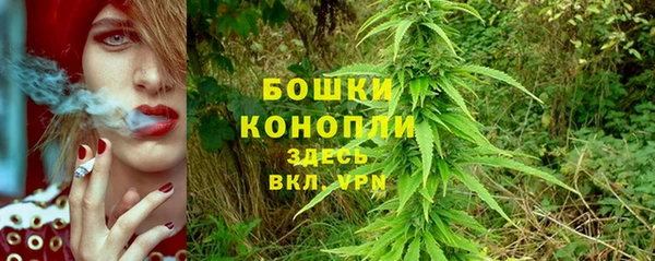 гидра Балабаново