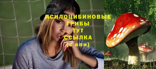 дживик Балахна