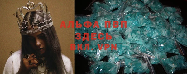 PSILOCYBIN Баксан