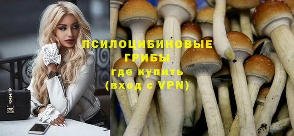 дживик Балахна
