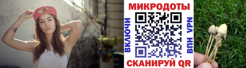 Псилоцибиновые грибы Magic Shrooms  Пересвет 